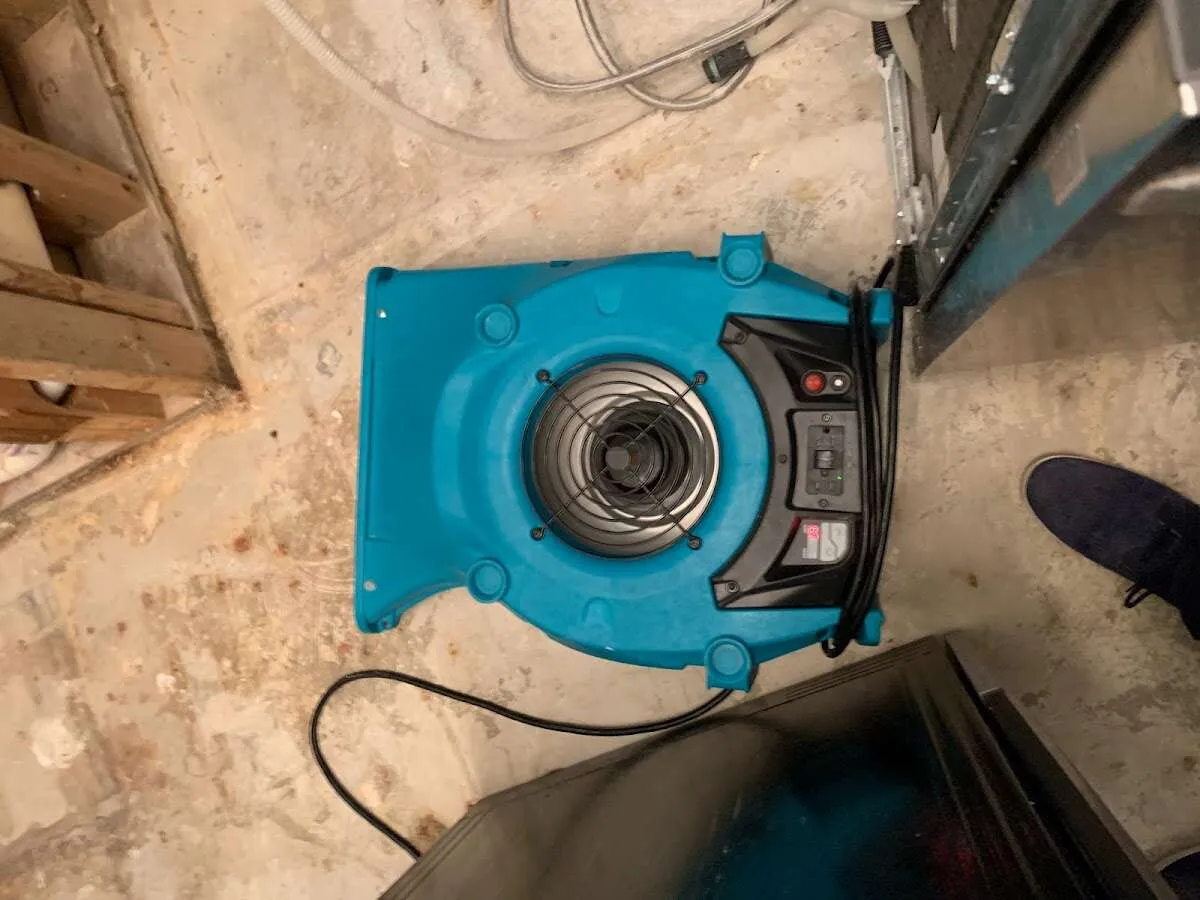 Air mover drying equipment for Mold Remediation & Removal in Dania Beach